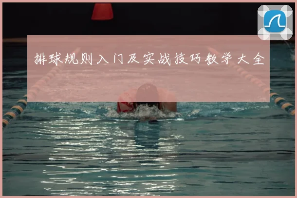 排球规则入门及实战技巧教学大全